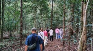 Menyusuri hutan (dok. Istimewa)